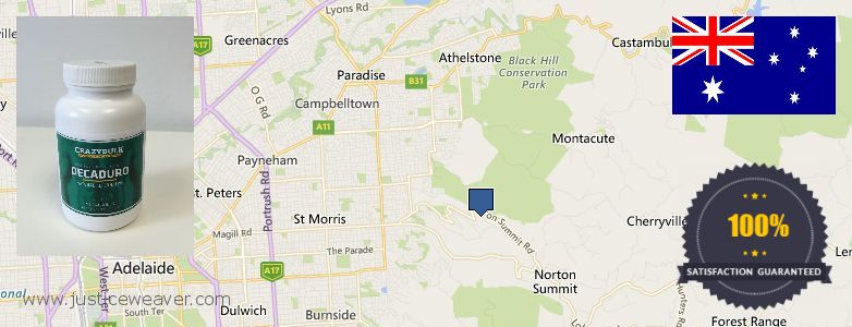 Πού να αγοράσετε Anabolic Steroids σε απευθείας σύνδεση Adelaide Hills, Australia