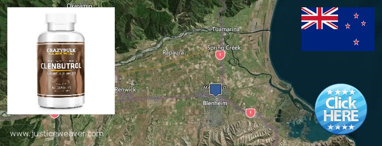 Where to Purchase Anabolic Steroids online Blenheim, New Zealand