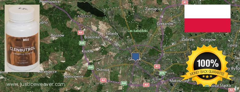 Where to Buy Anabolic Steroids online Gliwice, Poland