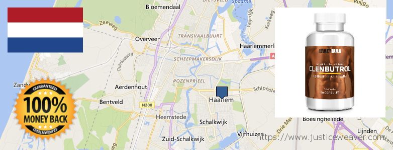 Where to Purchase Anabolic Steroids online Haarlem, Netherlands