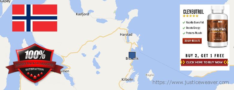 Where to Buy Anabolic Steroids online Harstad, Norway