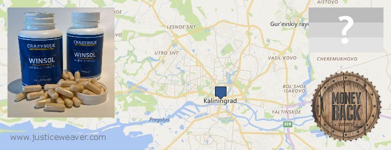 Где купить Anabolic Steroids онлайн Kaliningrad, Russia