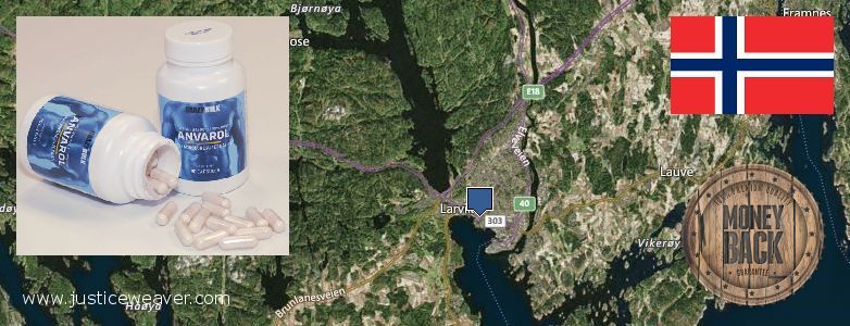 Where Can You Buy Anabolic Steroids online Larvik, Norway