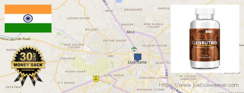 Where to Buy Anabolic Steroids online Ludhiana, India