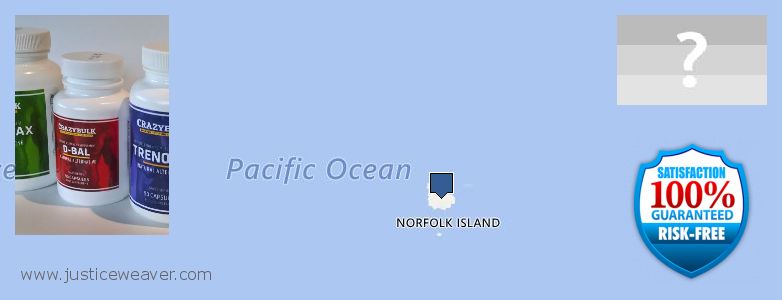 Где купить Anabolic Steroids онлайн Norfolk Island