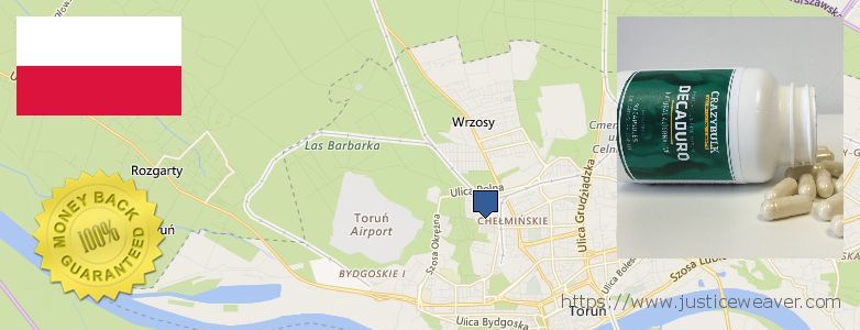 Where Can I Purchase Anabolic Steroids online Torun, Poland