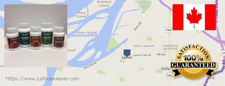 Where to Purchase Anavar Steroids online Ladner, Canada