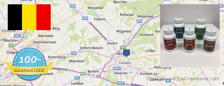 Purchase Anavar Steroids online Leuven, Belgium Purchase Anavar Steroids online Leuven, Belgium