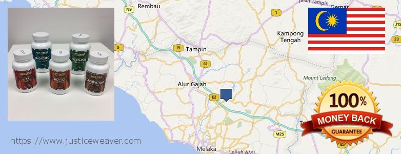 Where to Buy Anavar Steroids online Malacca, Malaysia