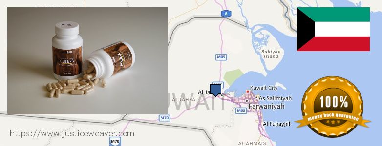 Where to Buy Clenbuterol Steroids online Al Fahahil, Kuwait