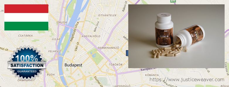 Unde să cumpărați Clenbuterol Steroids on-line Budapest, Hungary