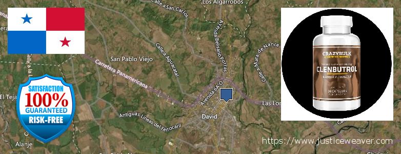 Dónde comprar Clenbuterol Steroids en linea David, Panama