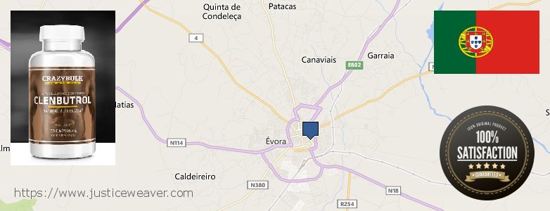 Purchase Clenbuterol Steroids online Evora, Portugal