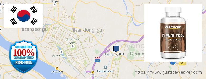 어디에서 구입하는 방법 Clenbuterol Steroids 온라인으로 Goyang-si, South Korea
