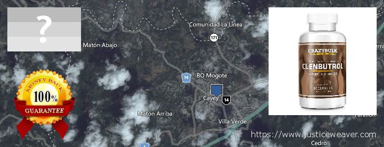 Dónde comprar Clenbuterol Steroids en linea Guaynabo, Puerto Rico