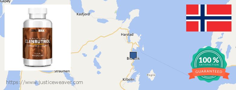 Where Can I Buy Clenbuterol Steroids online Harstad, Norway