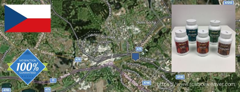 Къде да закупим Clenbuterol Steroids онлайн Havirov, Czech Republic