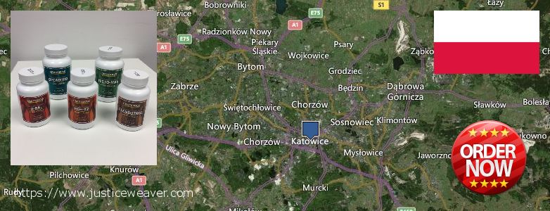 Gdzie kupić Clenbuterol Steroids w Internecie Katowice, Poland