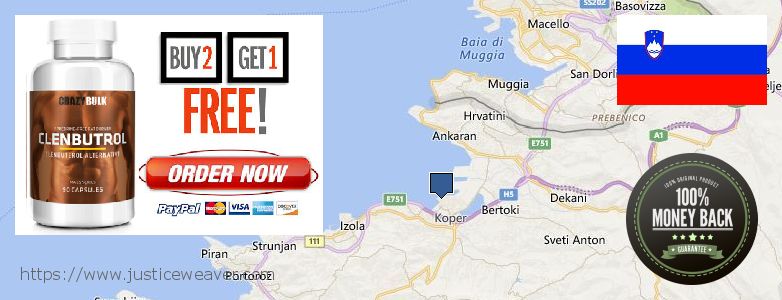 Where Can I Purchase Clenbuterol Steroids online Koper, Slovenia