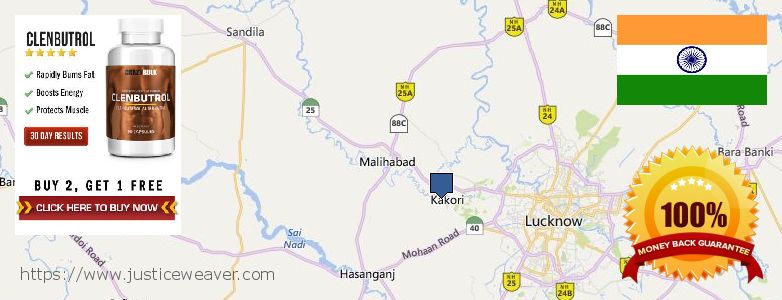 Where to Purchase Clenbuterol Steroids online Lucknow, India