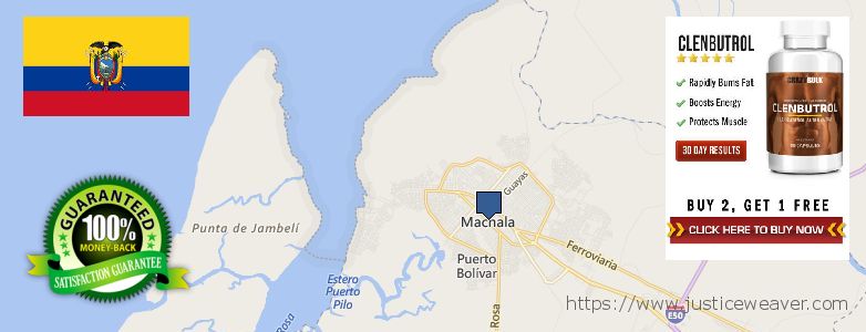 Buy Clenbuterol Steroids online Machala, Ecuador