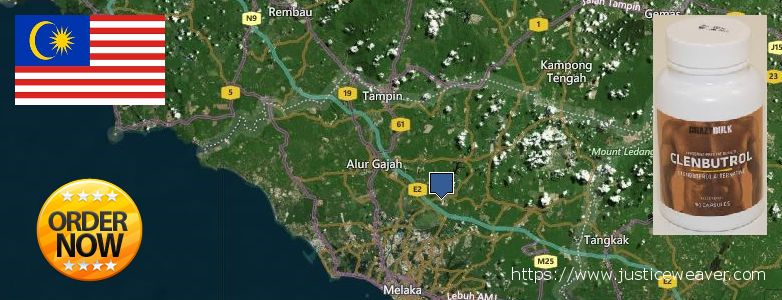 Where to Buy Clenbuterol Steroids online Malacca, Malaysia