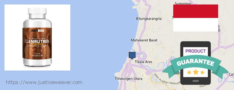 Buy Clenbuterol Steroids online Manado, Indonesia