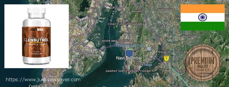 कहॉ से खरीदु Clenbuterol Steroids ऑनलाइन Navi Mumbai, India