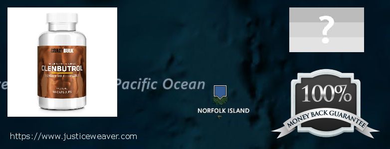 Best Place to Buy Clenbuterol Steroids online Norfolk Island