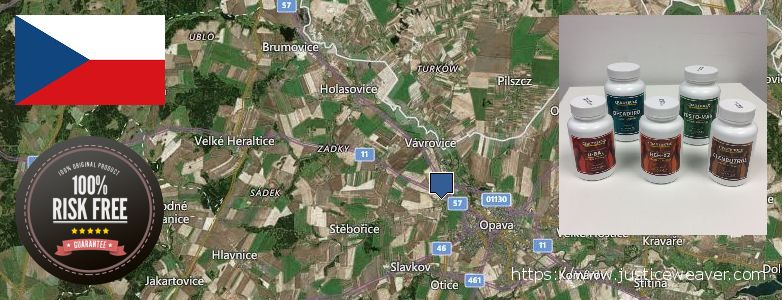 Gdzie kupić Clenbuterol Steroids w Internecie Opava, Czech Republic