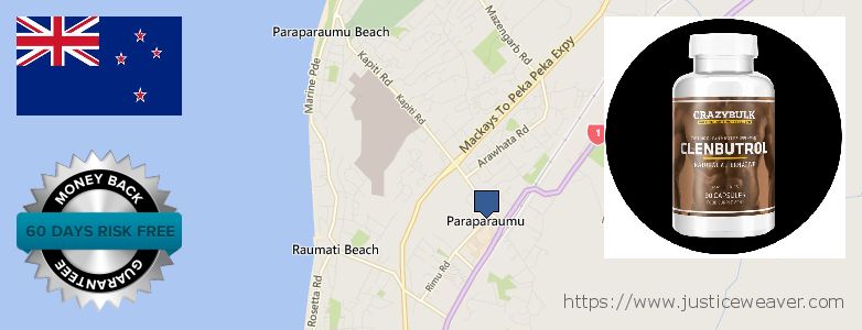 Purchase Clenbuterol Steroids online Paraparaumu, New Zealand Where to Buy Clenbuterol Steroids online Paraparaumu, New Zealand