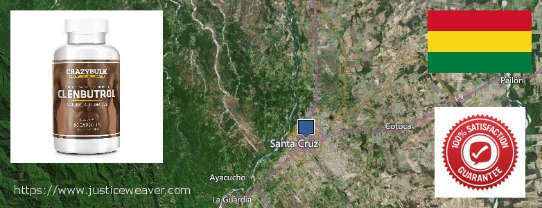 Dónde comprar Clenbuterol Steroids en linea Santa Cruz de la Sierra, Bolivia