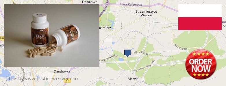 Gdzie kupić Clenbuterol Steroids w Internecie Sosnowiec, Poland