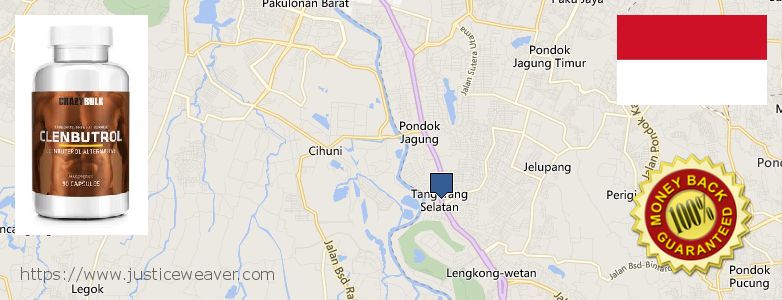 Where to Purchase Clenbuterol Steroids online South Tangerang, Indonesia