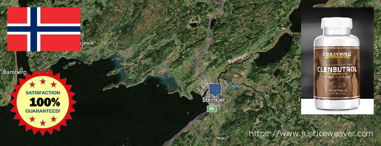 Where Can I Purchase Clenbuterol Steroids online Steinkjer, Norway