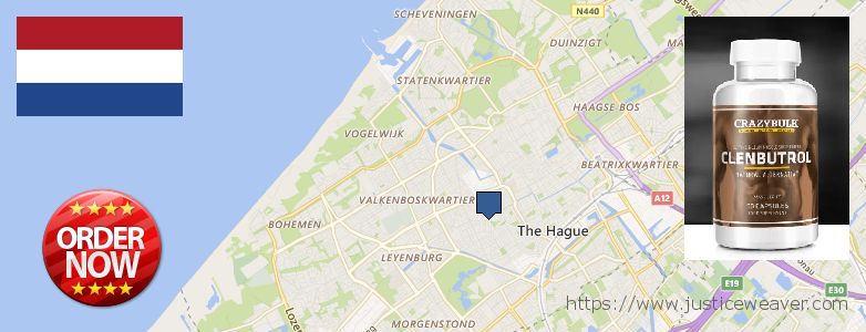 Waar te koop Clenbuterol Steroids online The Hague, Netherlands