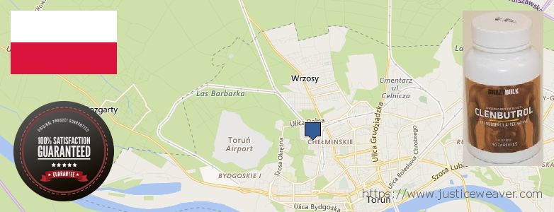 Gdzie kupić Clenbuterol Steroids w Internecie Torun, Poland