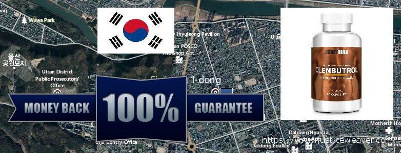 Buy Clenbuterol Steroids online Ulsan, South Korea