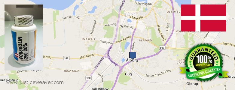 Wo kaufen Forskolin online Aalborg, Denmark