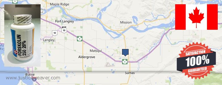 Acheter Forskolin en ligne Abbotsford, Canada Où Acheter Forskolin en ligne Abbotsford, Canada