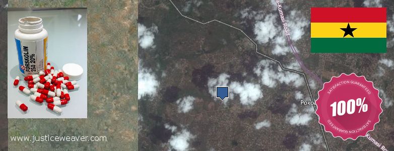 Buy Forskolin Diet Pills online Achiaman, Ghana Where Can I Buy Forskolin Diet Pills online Achiaman, Ghana