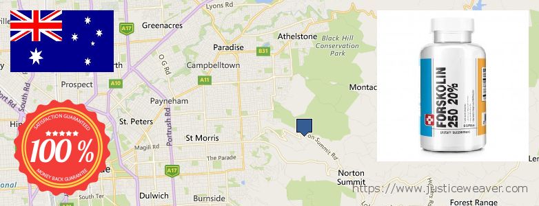 Πού να αγοράσετε Forskolin σε απευθείας σύνδεση Adelaide Hills, Australia