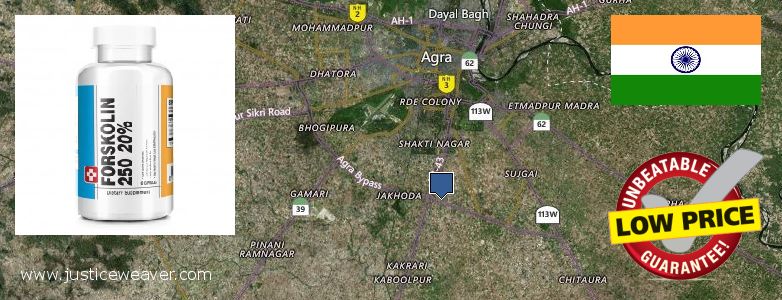 कहॉ से खरीदु Forskolin ऑनलाइन Agra, India