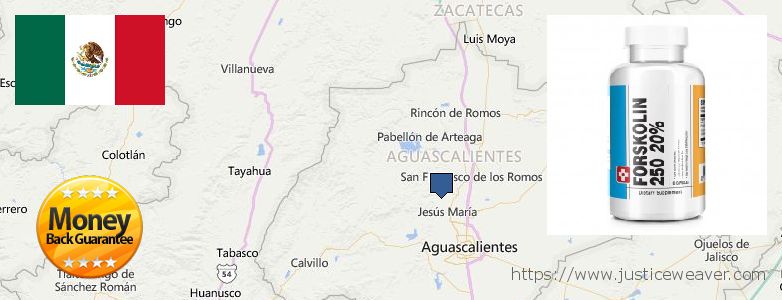 Dónde comprar Forskolin en linea Aguascalientes, Mexico