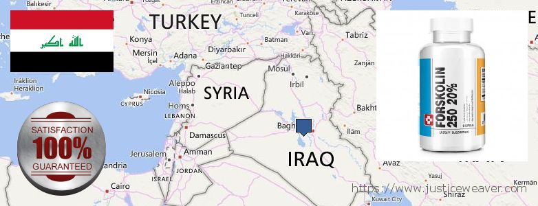 Where to Purchase Forskolin Diet Pills online Al Basrah al Qadimah, Iraq