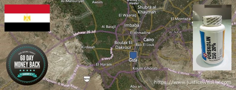 حيث لشراء Forskolin على الانترنت Al Jizah, Egypt