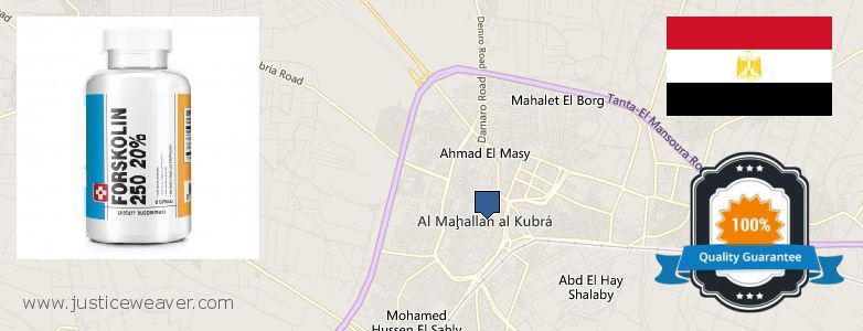 Buy Forskolin Diet Pills online Al Mahallah al Kubra, Egypt Where to Buy Forskolin Diet Pills online Al Mahallah al Kubra, Egypt