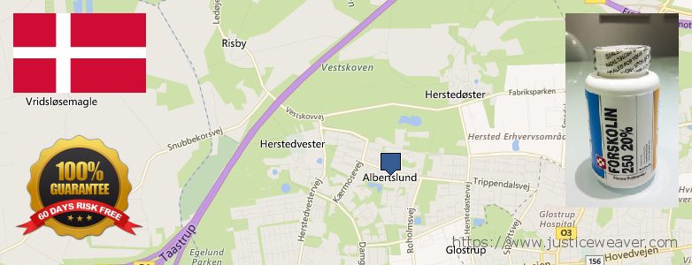Hvor kan jeg købe Forskolin online Albertslund, Denmark