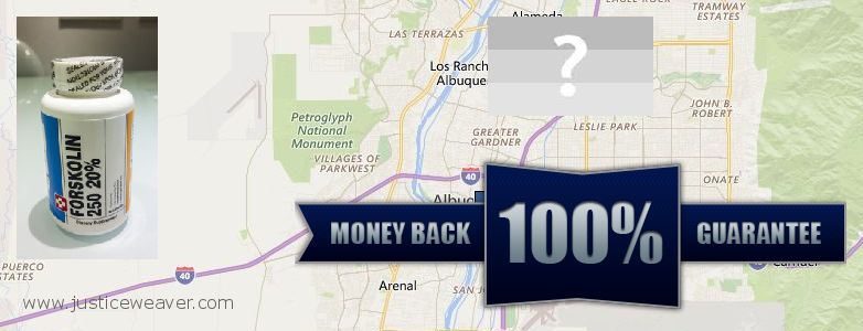 Где купить Forskolin онлайн Albuquerque, USA
