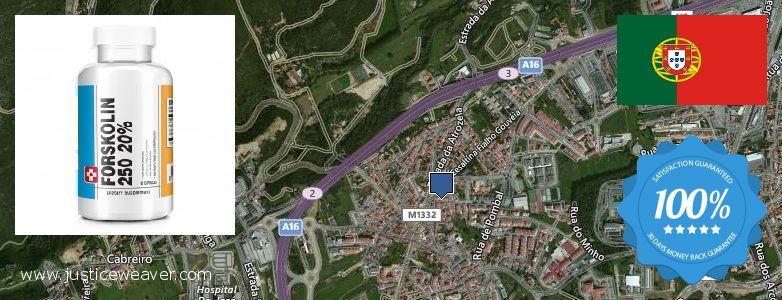 Onde Comprar Forskolin on-line Alcabideche, Portugal